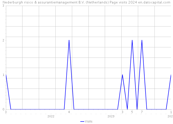 Nederburgh risico & assurantiemanagement B.V. (Netherlands) Page visits 2024 
