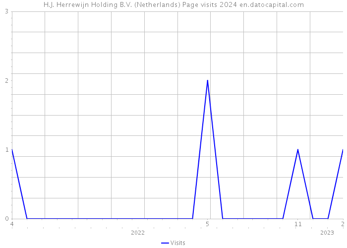 H.J. Herrewijn Holding B.V. (Netherlands) Page visits 2024 
