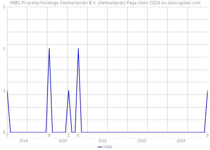 HSBC Property Holdings (Netherlands) B.V. (Netherlands) Page visits 2024 