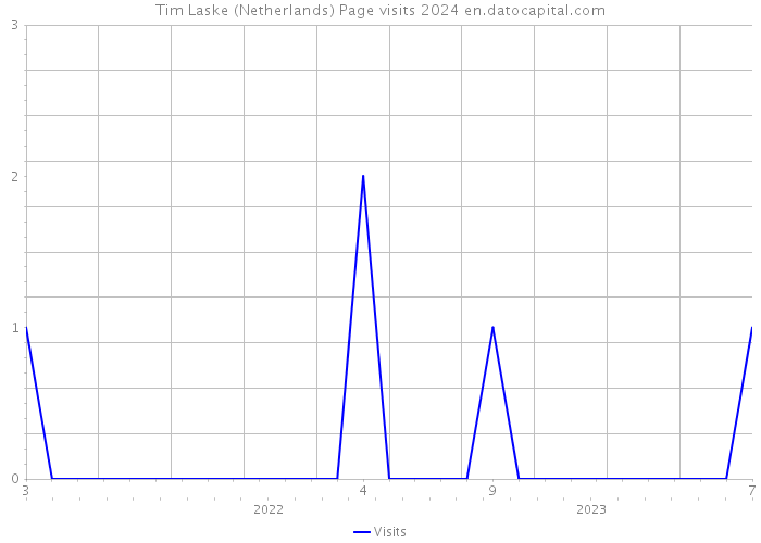 Tim Laske (Netherlands) Page visits 2024 