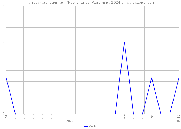 Harrypersad Jagernath (Netherlands) Page visits 2024 