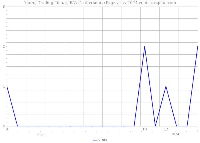 Young Trading Tilburg B.V. (Netherlands) Page visits 2024 