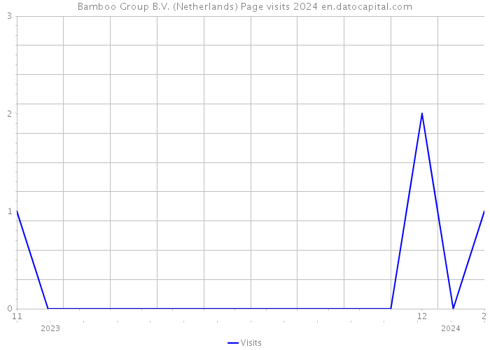 Bamboo Group B.V. (Netherlands) Page visits 2024 
