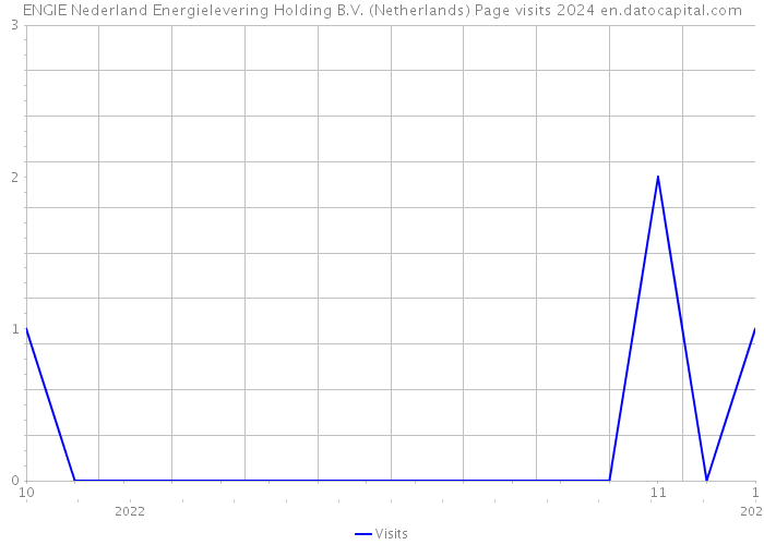ENGIE Nederland Energielevering Holding B.V. (Netherlands) Page visits 2024 