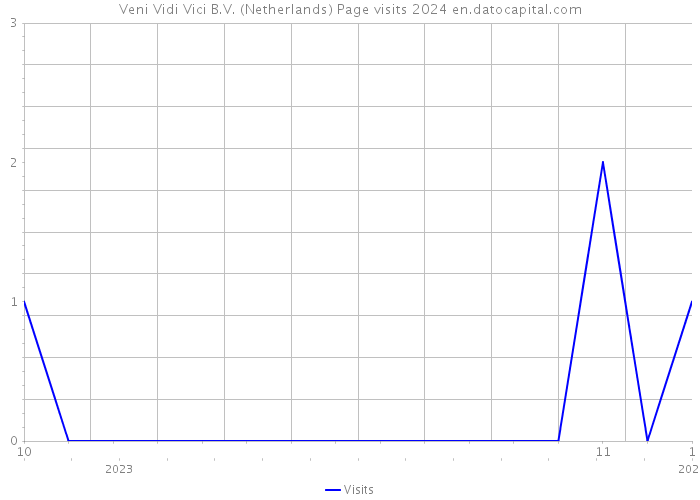 Veni Vidi Vici B.V. (Netherlands) Page visits 2024 