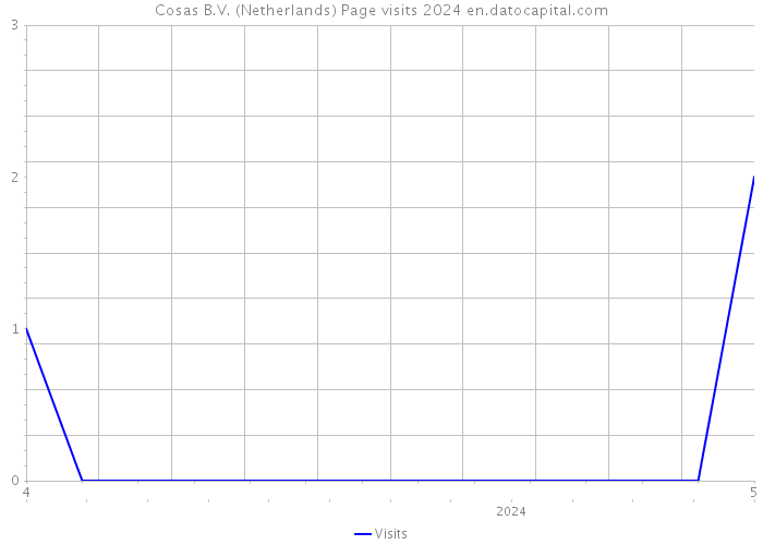 Cosas B.V. (Netherlands) Page visits 2024 