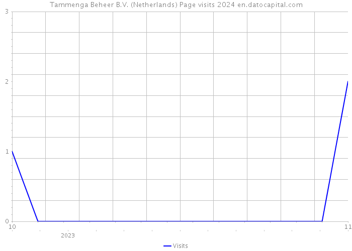 Tammenga Beheer B.V. (Netherlands) Page visits 2024 