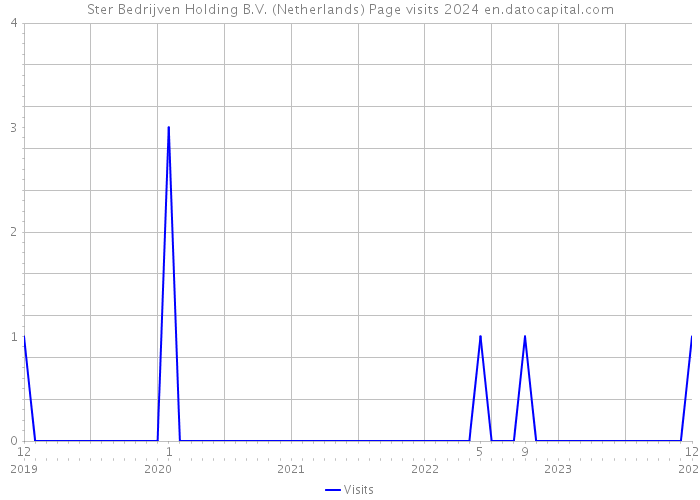 Ster Bedrijven Holding B.V. (Netherlands) Page visits 2024 