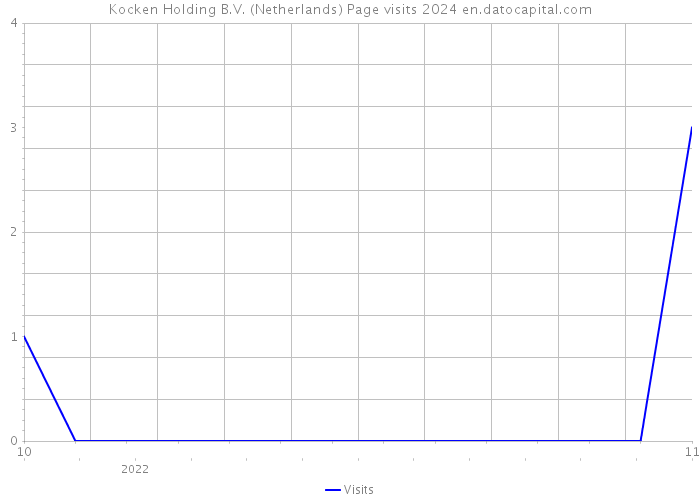 Kocken Holding B.V. (Netherlands) Page visits 2024 