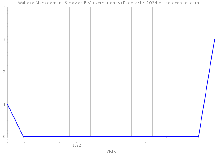Wabeke Management & Advies B.V. (Netherlands) Page visits 2024 