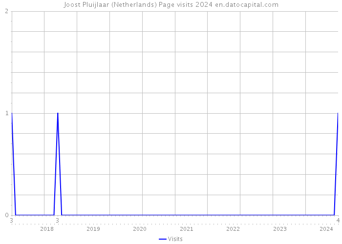 Joost Pluijlaar (Netherlands) Page visits 2024 