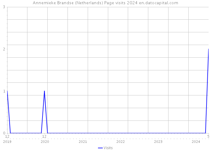 Annemieke Brandse (Netherlands) Page visits 2024 