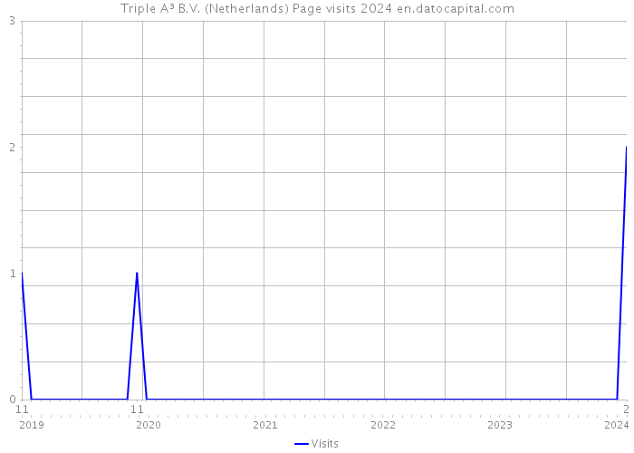 Triple A³ B.V. (Netherlands) Page visits 2024 