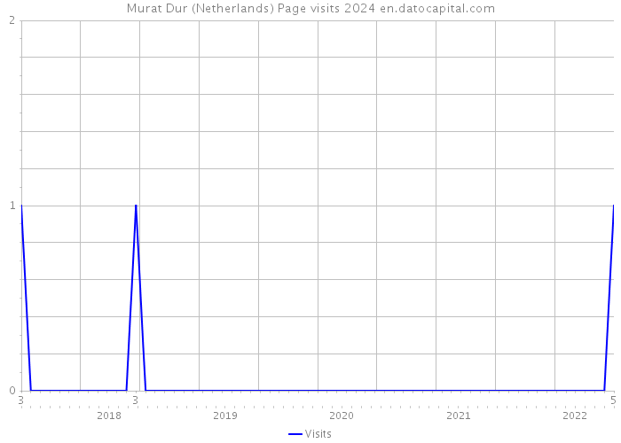 Murat Dur (Netherlands) Page visits 2024 