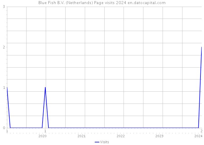 Blue Fish B.V. (Netherlands) Page visits 2024 