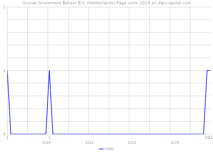 Gruiver Investment Beheer B.V. (Netherlands) Page visits 2024 