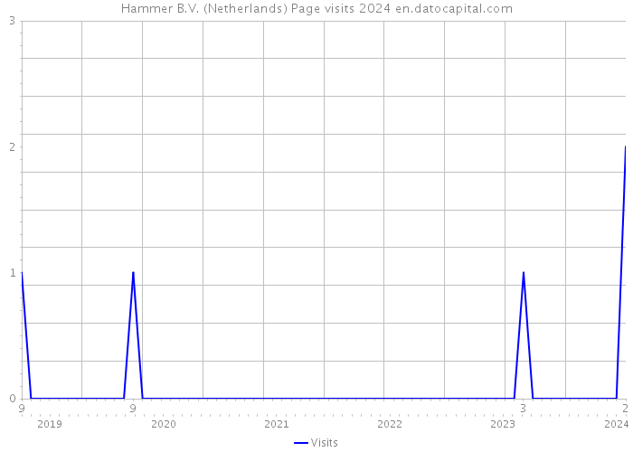 Hammer B.V. (Netherlands) Page visits 2024 