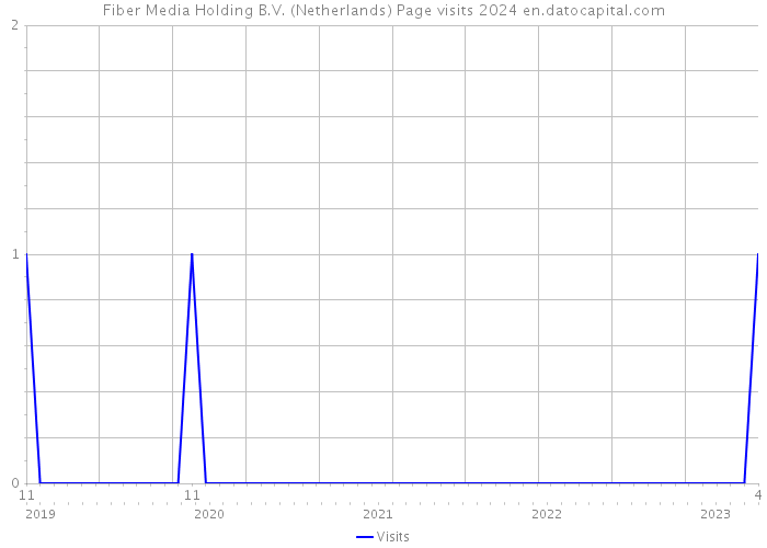 Fiber Media Holding B.V. (Netherlands) Page visits 2024 