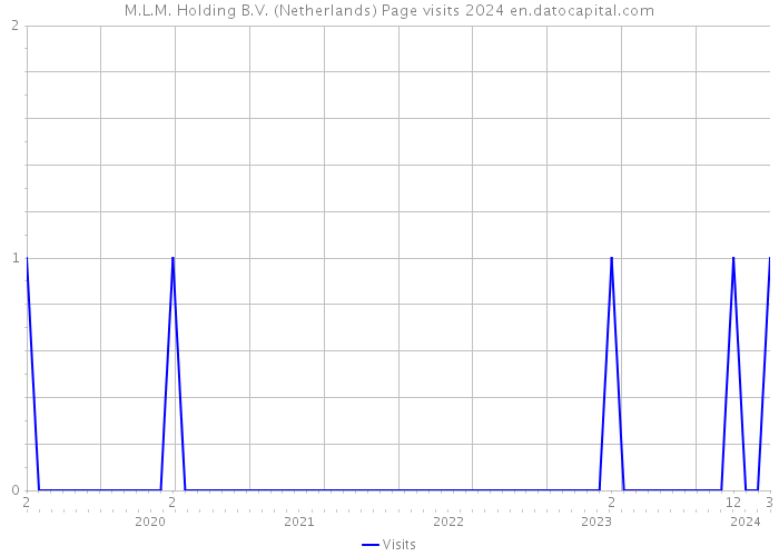 M.L.M. Holding B.V. (Netherlands) Page visits 2024 