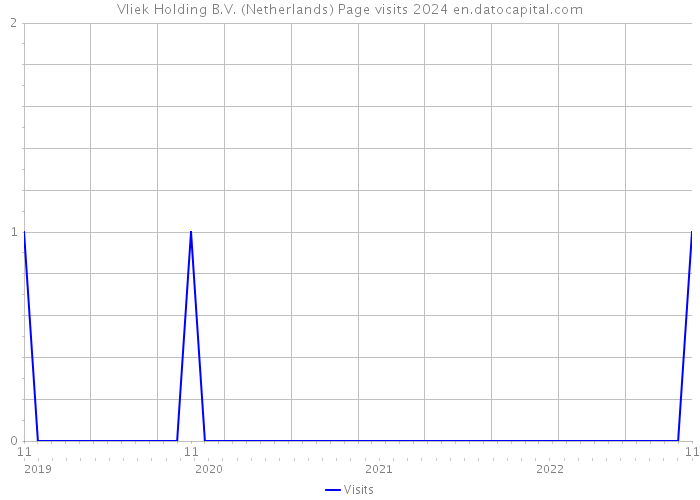 Vliek Holding B.V. (Netherlands) Page visits 2024 