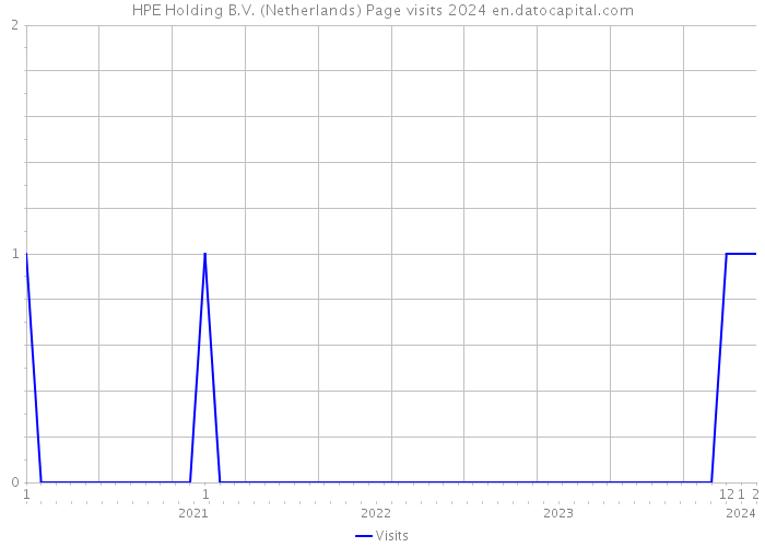 HPE Holding B.V. (Netherlands) Page visits 2024 