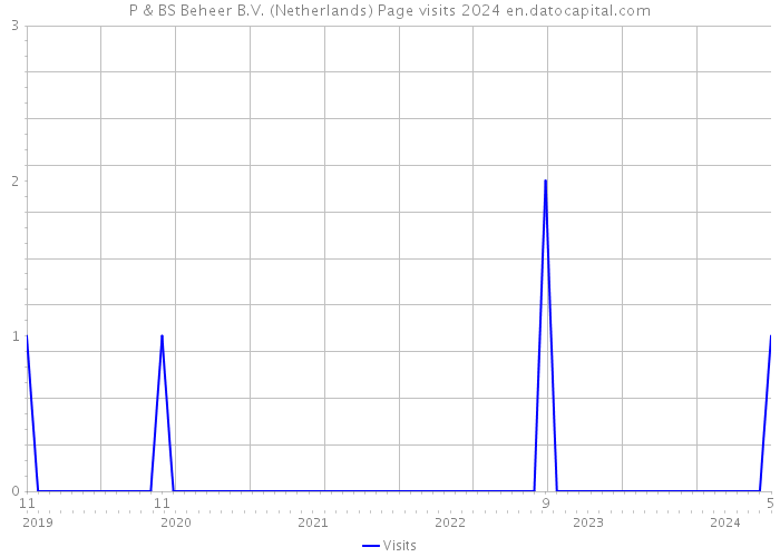 P & BS Beheer B.V. (Netherlands) Page visits 2024 