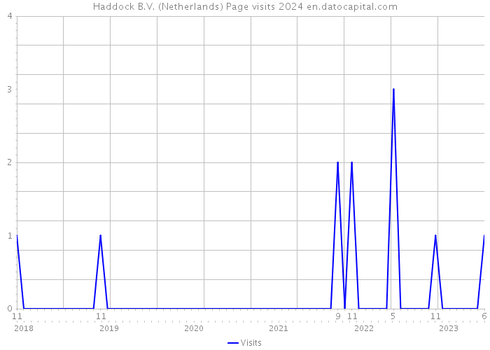 Haddock B.V. (Netherlands) Page visits 2024 