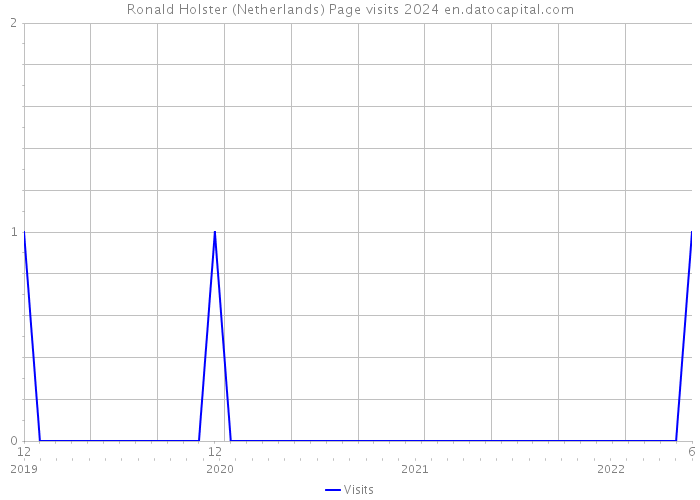 Ronald Holster (Netherlands) Page visits 2024 