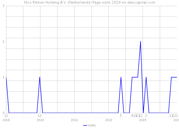 Nico Rikken Holding B.V. (Netherlands) Page visits 2024 