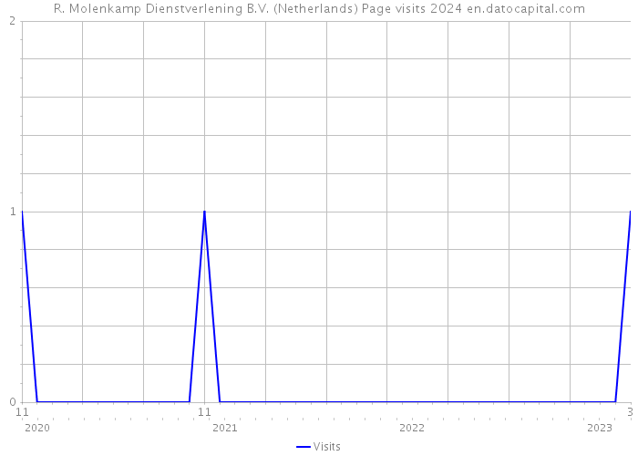 R. Molenkamp Dienstverlening B.V. (Netherlands) Page visits 2024 