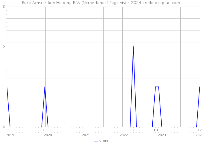 Buro Amsterdam Holding B.V. (Netherlands) Page visits 2024 