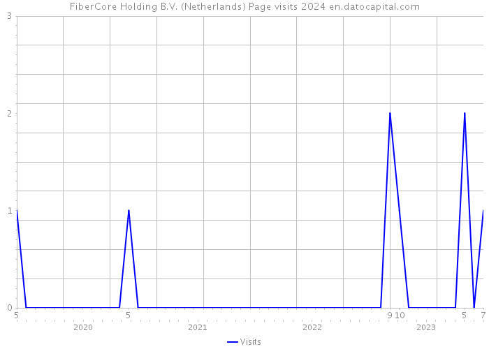 FiberCore Holding B.V. (Netherlands) Page visits 2024 