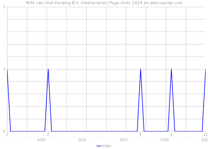W.M. van Vliet Holding B.V. (Netherlands) Page visits 2024 