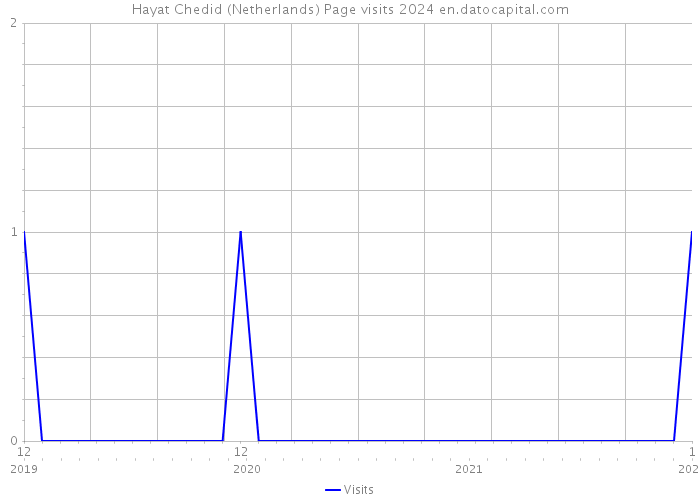 Hayat Chedid (Netherlands) Page visits 2024 