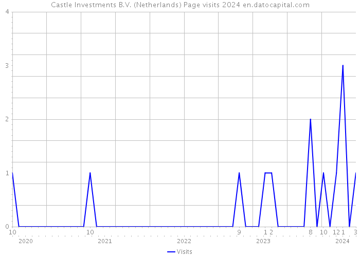 Castle Investments B.V. (Netherlands) Page visits 2024 