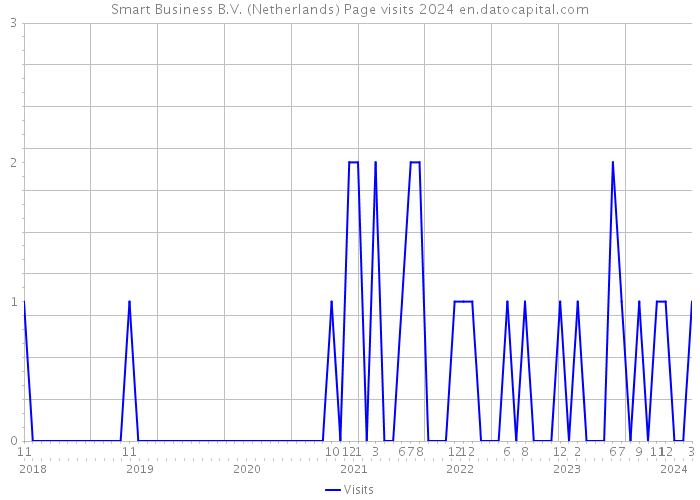 Smart Business B.V. (Netherlands) Page visits 2024 