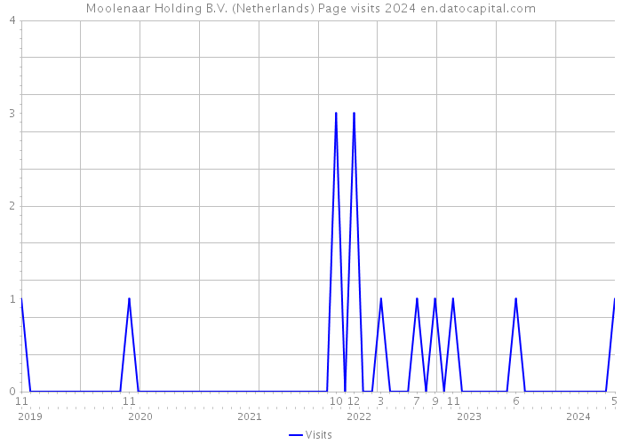 Moolenaar Holding B.V. (Netherlands) Page visits 2024 