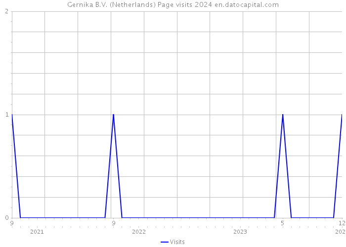 Gernika B.V. (Netherlands) Page visits 2024 