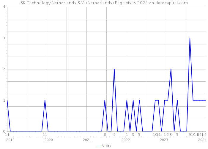 SK Technology Netherlands B.V. (Netherlands) Page visits 2024 