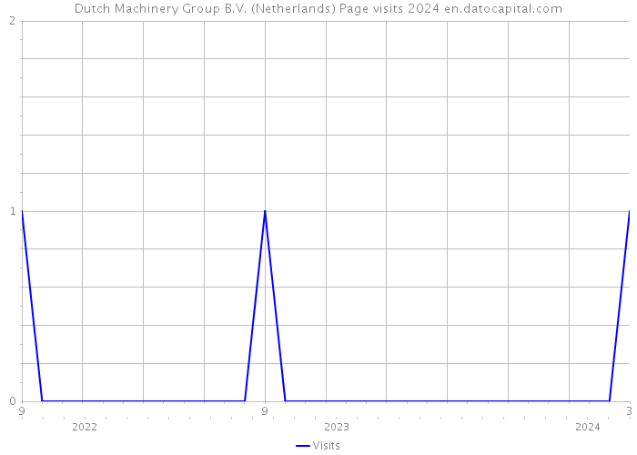 Dutch Machinery Group B.V. (Netherlands) Page visits 2024 