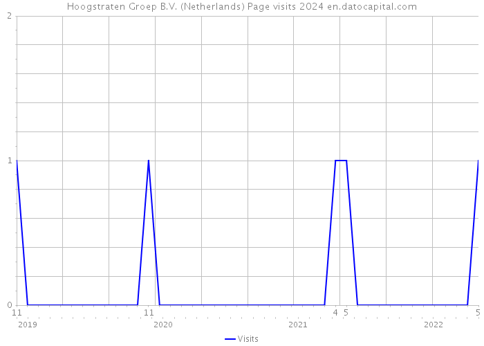 Hoogstraten Groep B.V. (Netherlands) Page visits 2024 