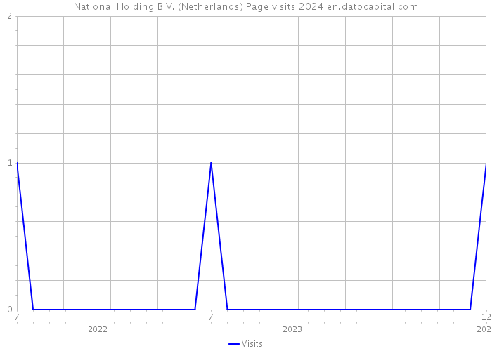 National Holding B.V. (Netherlands) Page visits 2024 