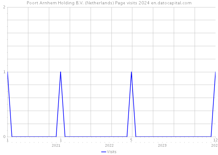 Poort Arnhem Holding B.V. (Netherlands) Page visits 2024 