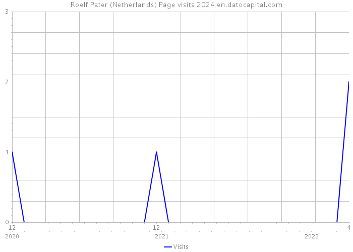 Roelf Pater (Netherlands) Page visits 2024 