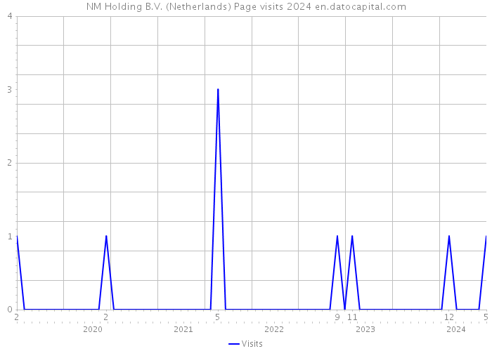 NM Holding B.V. (Netherlands) Page visits 2024 