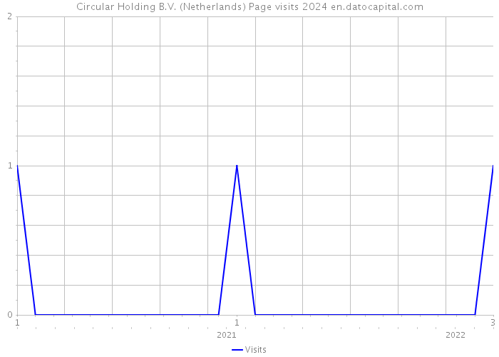 Circular Holding B.V. (Netherlands) Page visits 2024 
