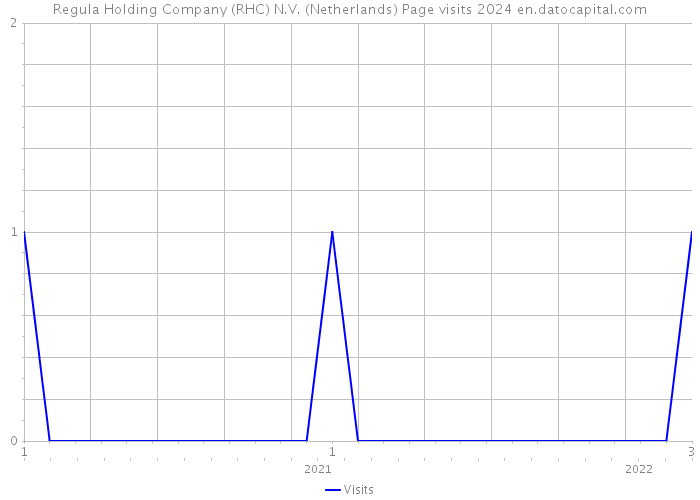 Regula Holding Company (RHC) N.V. (Netherlands) Page visits 2024 