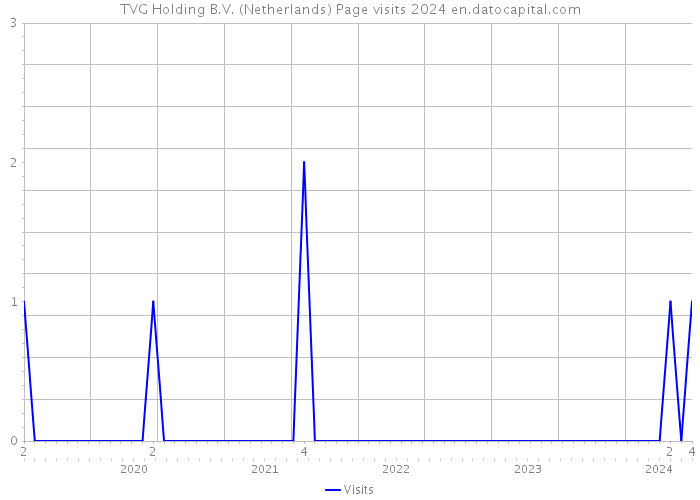 TVG Holding B.V. (Netherlands) Page visits 2024 