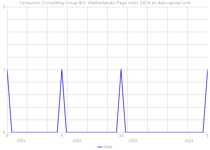Centurion Consulting Group B.V. (Netherlands) Page visits 2024 