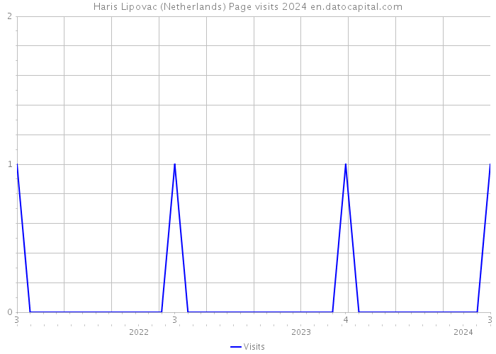 Haris Lipovac (Netherlands) Page visits 2024 